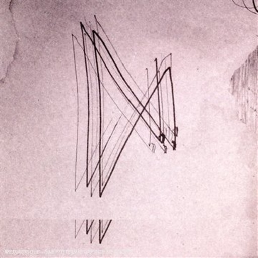 Vladislav Delay – Multila