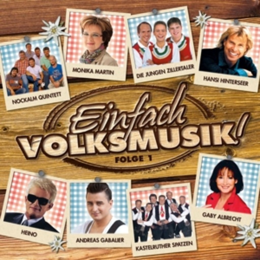 Diverse – Einfach Volksmusik!