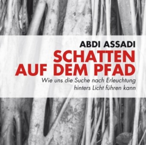 Götz Bühler – Schatten auf dem Pfad