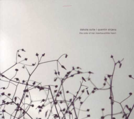 Dakota Suite/Quentin Sirjacq – The Side Of Her Inexhaustible Heart