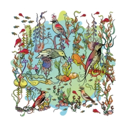 John Zorn – The Dreamers - The Gentle Side