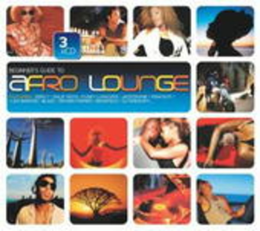 Diverse – Beginner's Guide To Afro Lounge