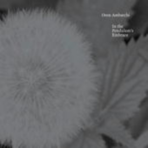 Oren Ambarchi – In The Pendulum's Embrace