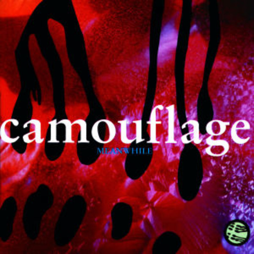 Camouflage – Meanwhile