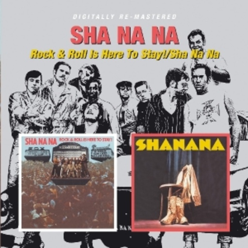 Sha Na Na – Rock & Roll Is Here To Stay/Sha Na Na