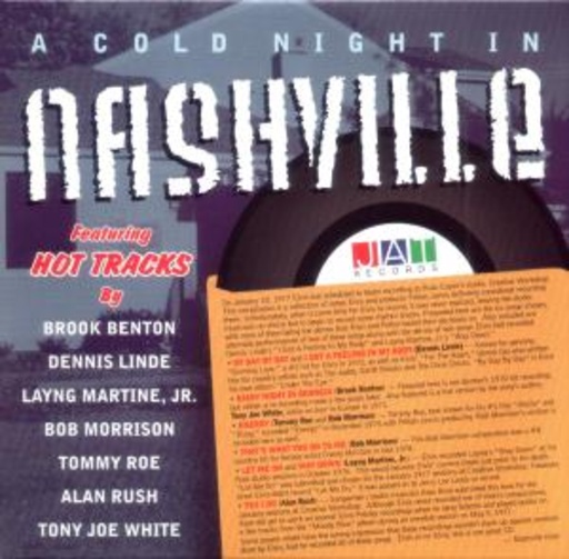 Diverse – A Could Night In Nashville