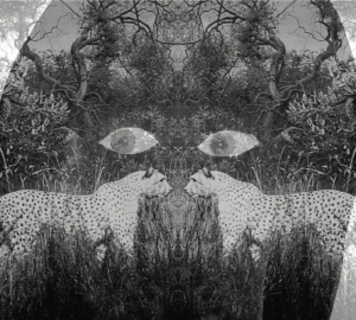 Rakka – Soutu