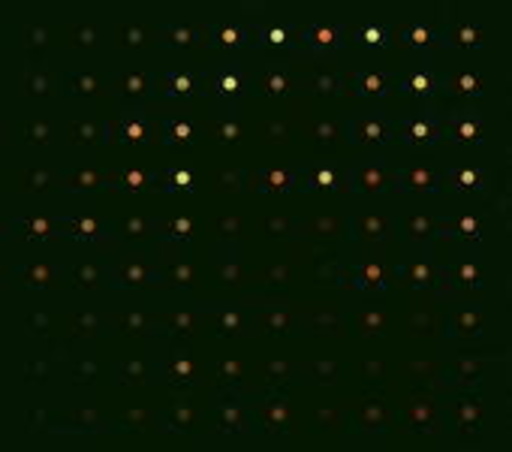 Jean-Paul Bondy – The Path Of Most Resistors