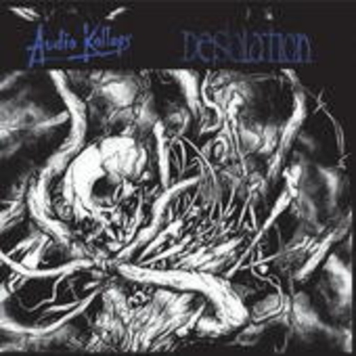 Audio Kollaps/Desolation – Audio Kollaps/Desolation