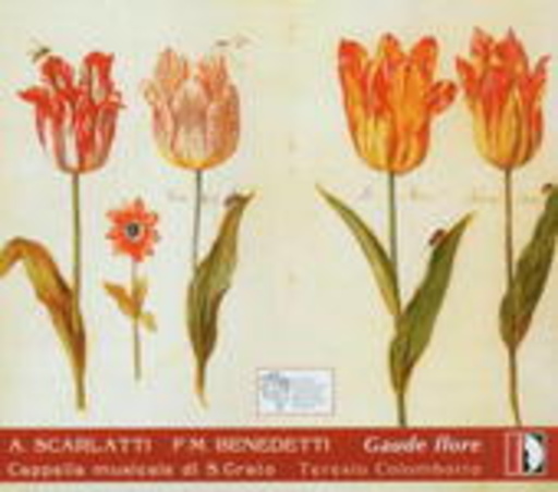 Capella Di S. Grato/Teresio Colombotto – Gaude Flore