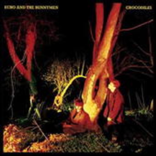 Echo & Bunnymen – Crocodiles