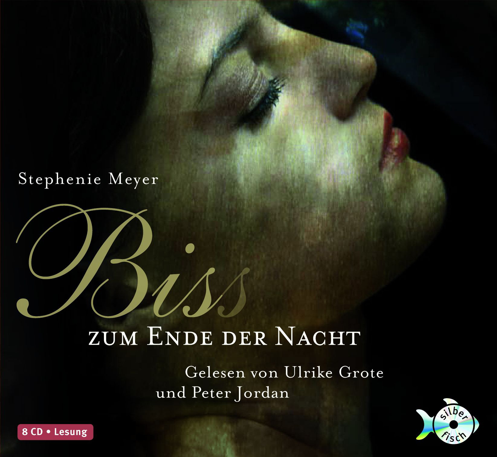 Biss zum Ende der Nacht