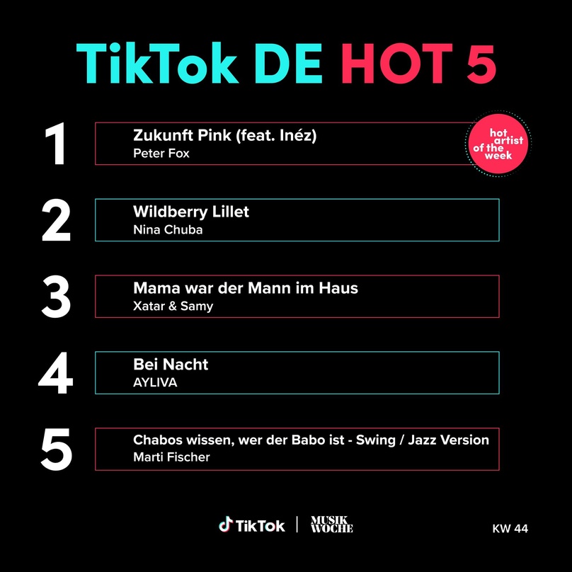 Rappt sich an die Chartspitze: Peter Fox mit "Zukunft Pink"