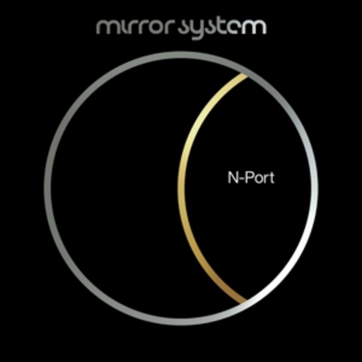 Mirror System – N-Port