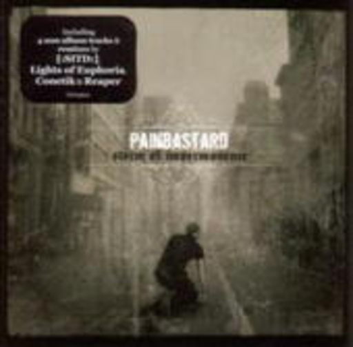 Painbastard – Storm Of Impermanence