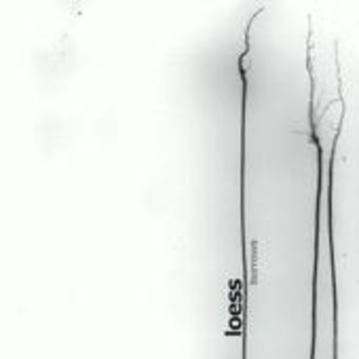 Loess – Burrows