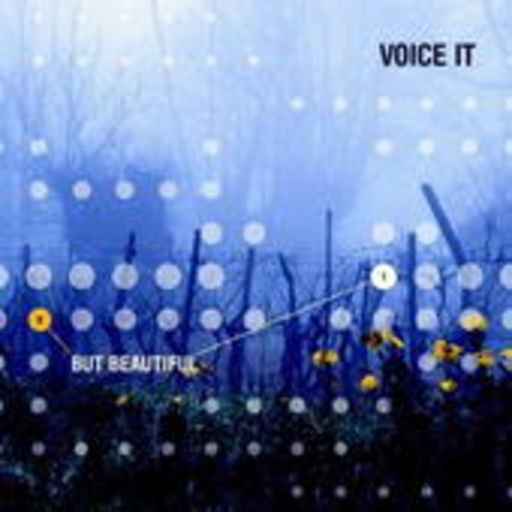 Voice It – But Beautiful