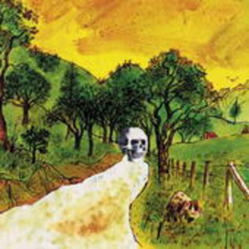The Skygreen Leopards – Disciples Of California