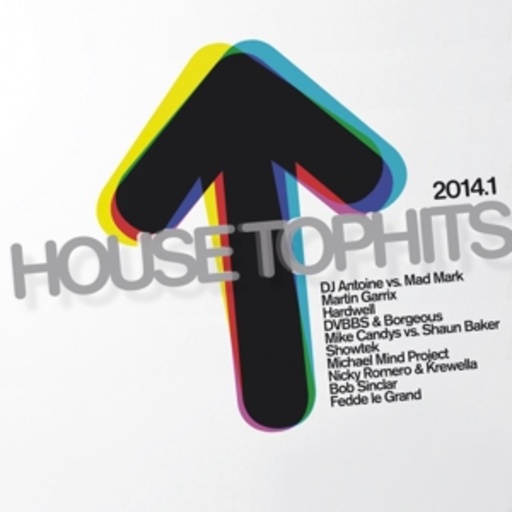 Diverse – House Tophits 2014.1