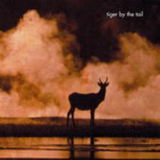 Tiger By Tail – Tiger By Tail