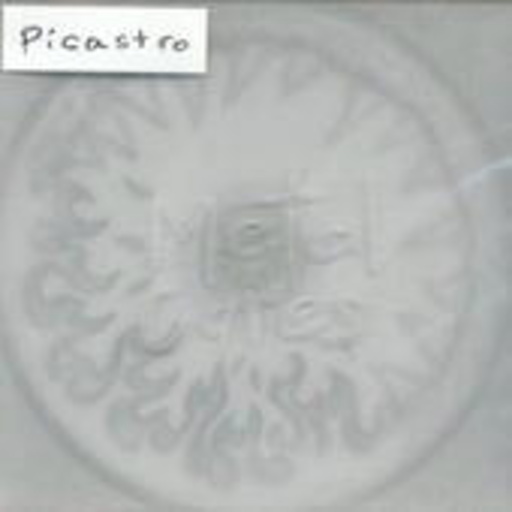 Picastro – Metal Cares