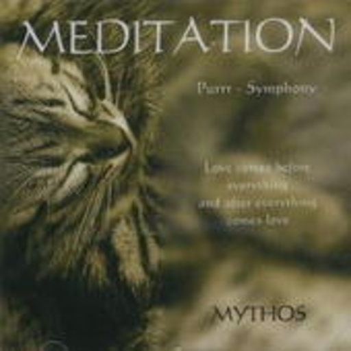 Stephan Kaske – Meditation II - Purrr-Symphony
