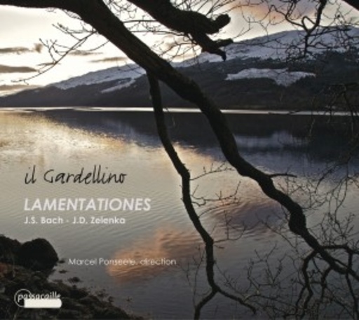 Il Cardellino/Marcel Ponseele – Lamentationes