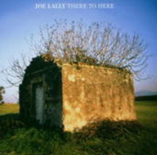 Joe Lally – There To Here