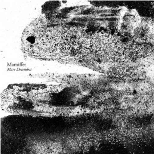 Mamiffer – Mare Decendrii