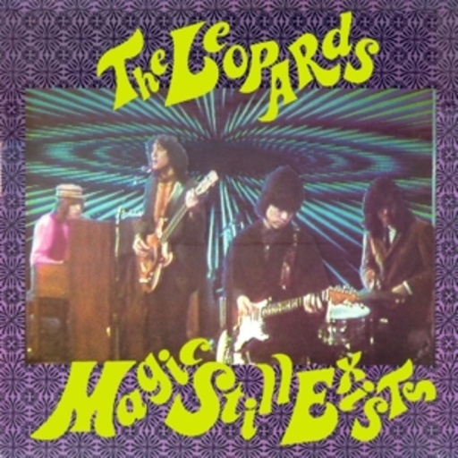 The Leopards – Magic Still Exists