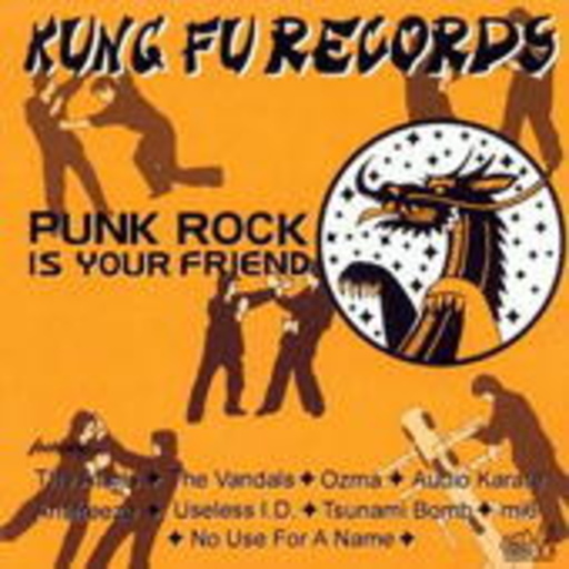 Diverse – Punk Rock Is Your Friend