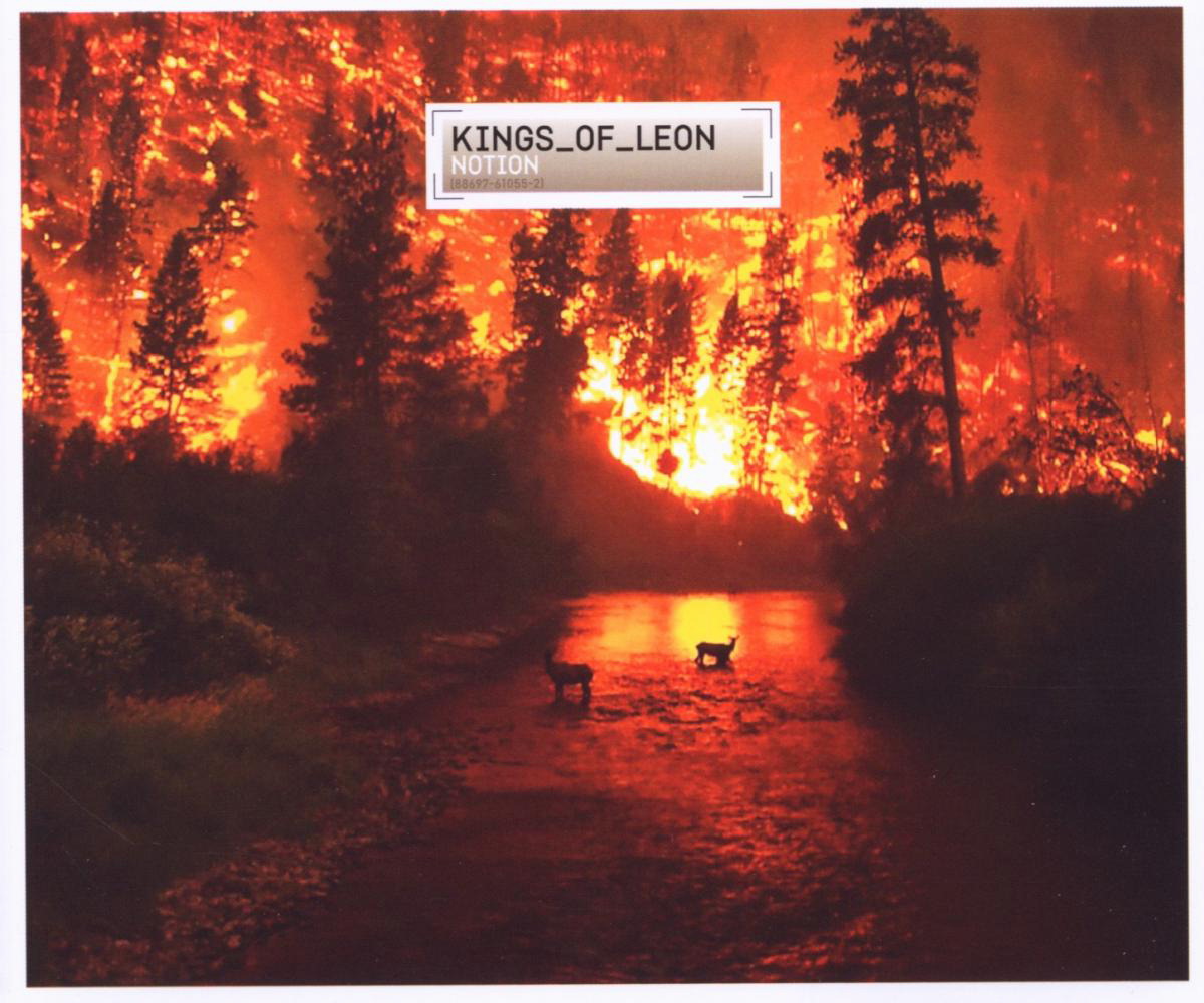 Kings Of Leon – Notion