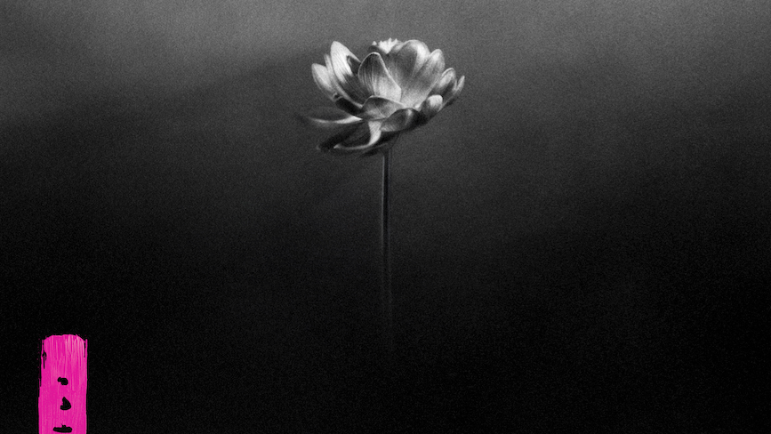 Little Simz veröffentlicht am 6. Juni ihr Album "Lotus".