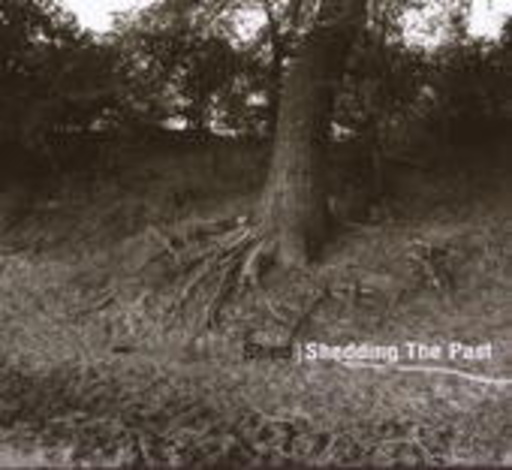 Shed – Shedding The Past