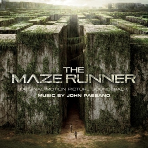 Diverse – The Maze Runner