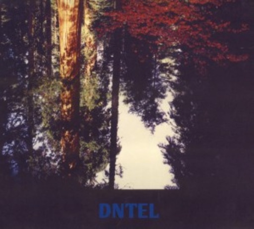 DNTEL – Aimlessness