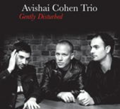 Avishai Cohen Trio – Gently Disturbed