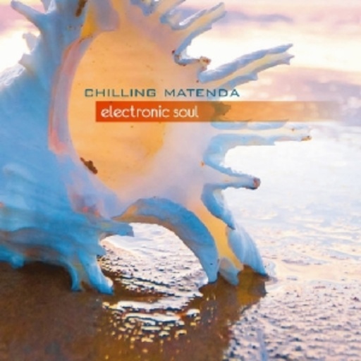 Chilling Matenda – Electronic Soul