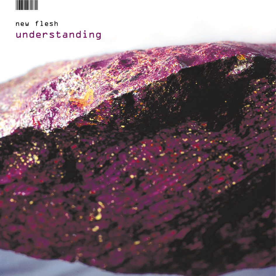 New Flesh – Understanding