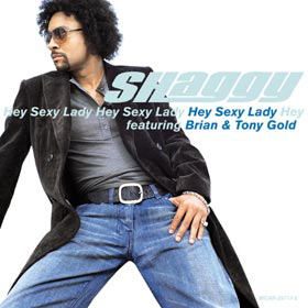 Shaggy feat. Brian & Tony Gold – Hey Sexy Lady