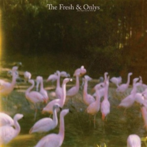 The Fresh & Onlys – August In My Mind EP