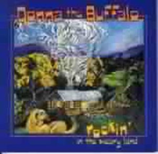 Donna The Buffalo – Rockin' In The Weary Land