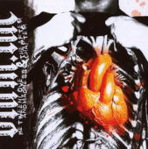 Between Love And Madness – Versus The After Chapter