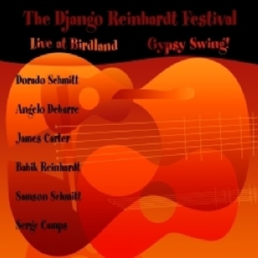 Diverse – Gypsy Swing - The Django Fe..