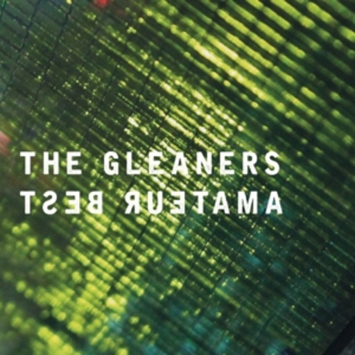 Amateur Best – The Gleaners