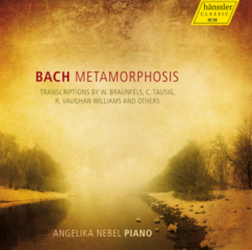 Angelika Nebel – Metamorphosis