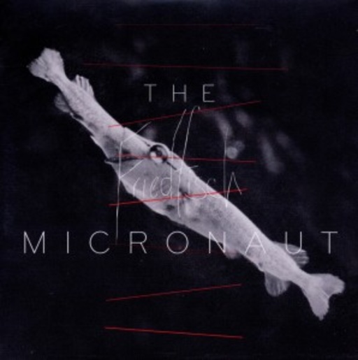 The Micronaut – Friedfisch