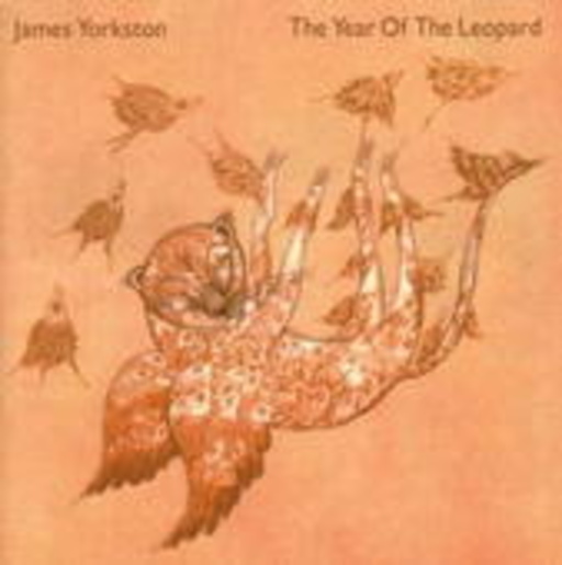 James Yorkston – The Year Of The Leopard