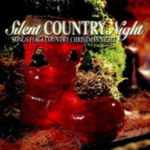 Diverse – Silent Country Night