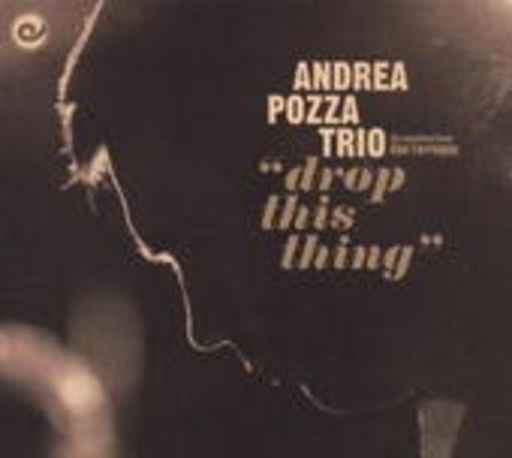 Andrea Pozza Trio – Drop This Thing